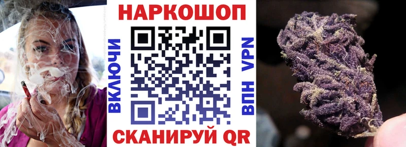 Сколько стоит Новая Ладога Каннабис СОЛЬ Амфетамин Гашиш