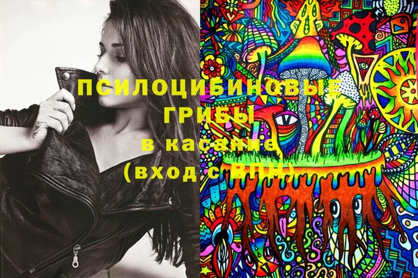 бутират Алзамай