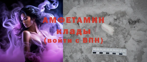 индика Алексин