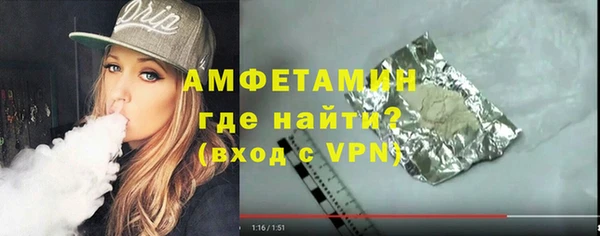 индика Алексин