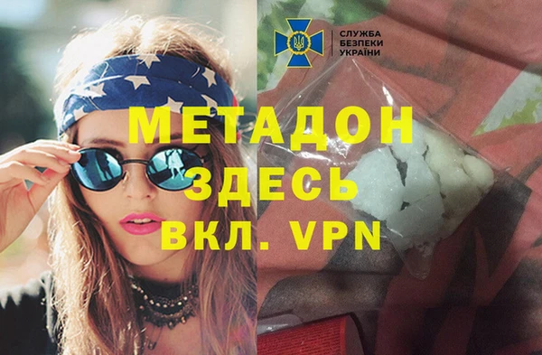 индика Алексин