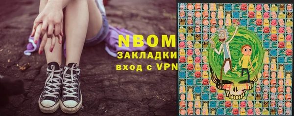 индика Алексин