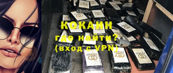 индика Алексин