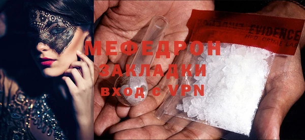 индика Алексин