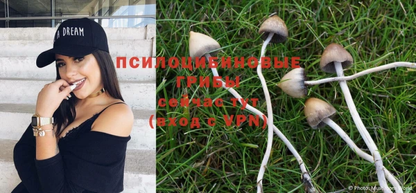 индика Алексин