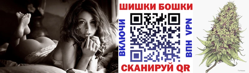 блэк спрут зеркало  Новая Ладога  Конопля конопля 